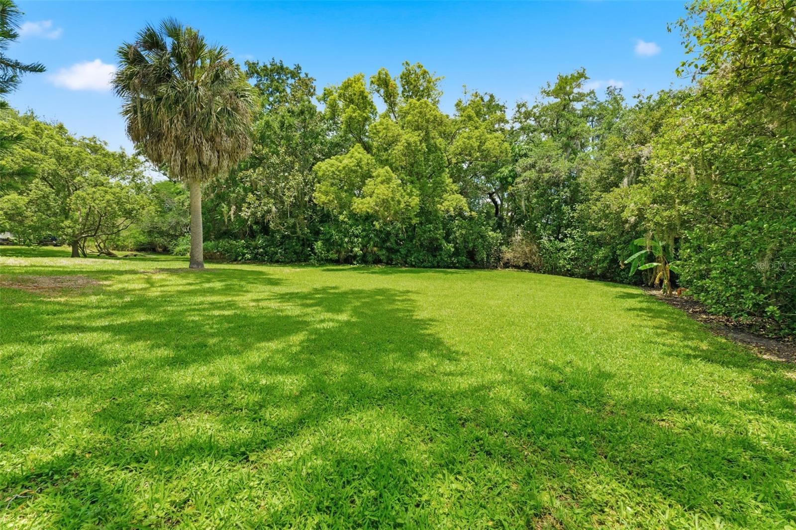 Lush Green Outdoor Space
