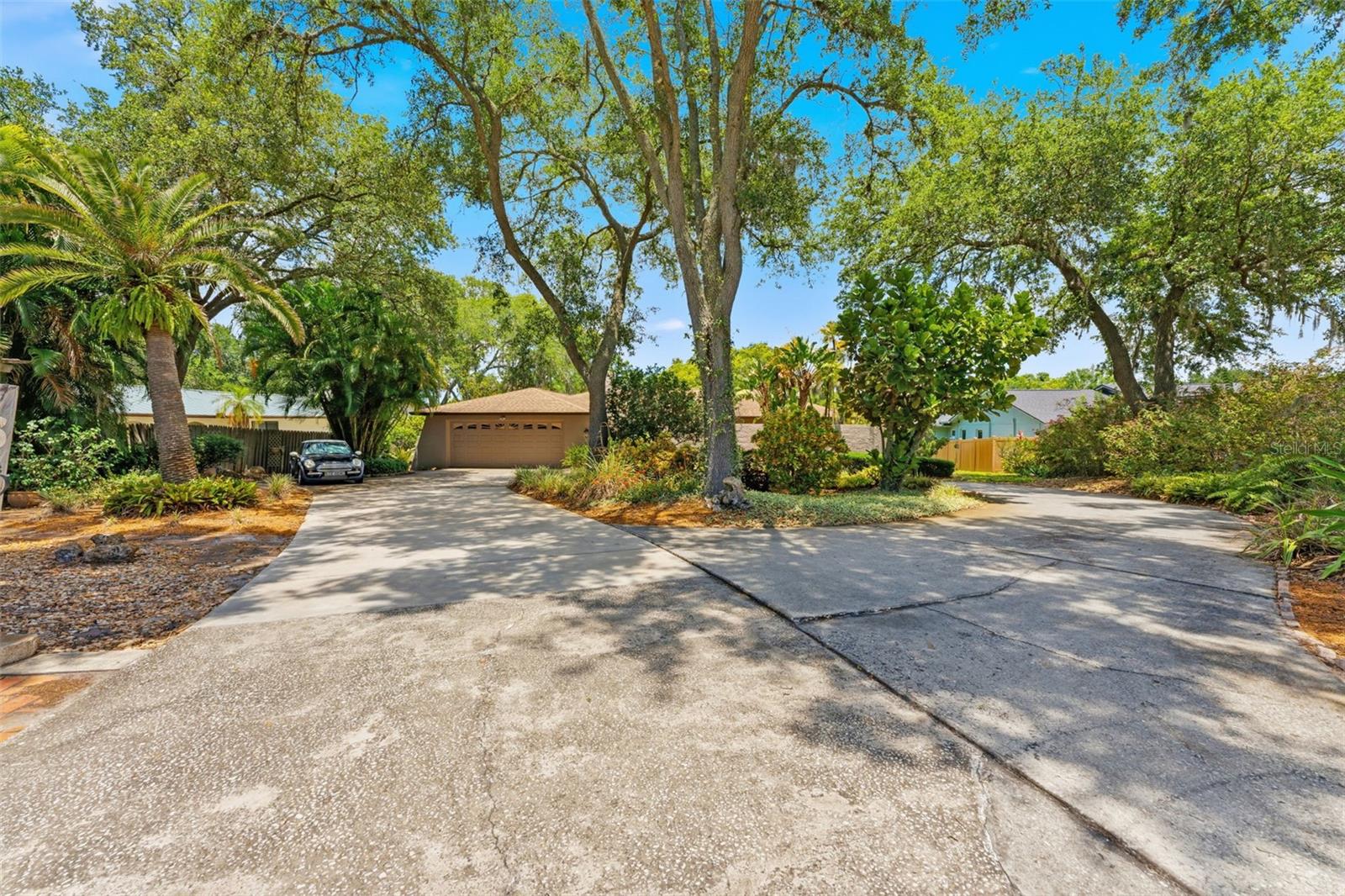Mature Landscaping