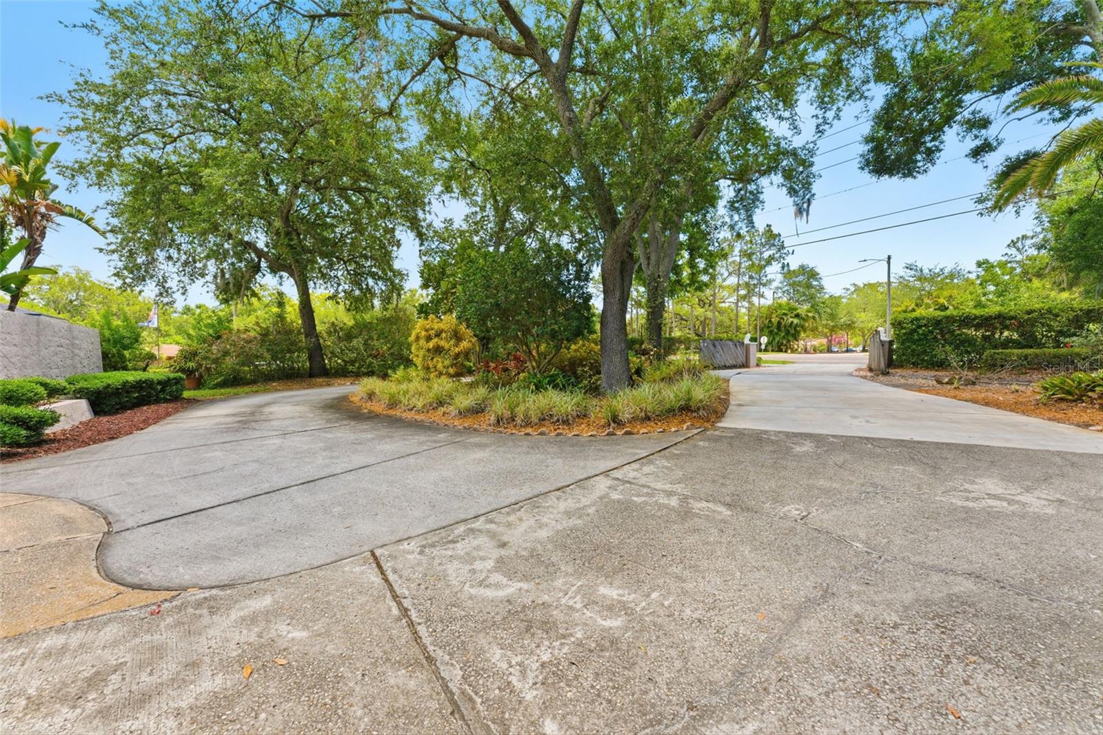 Mature Trees and Spacious Front Yard