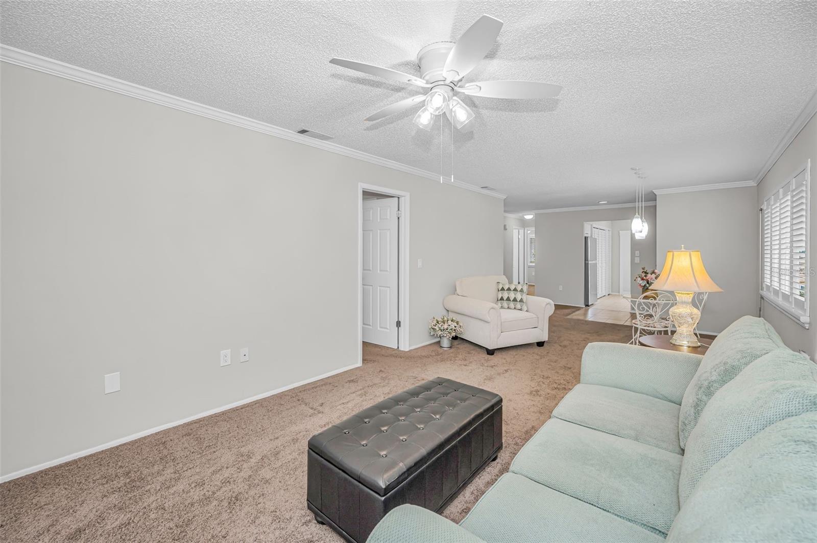 Living Room - Dining Room Combo