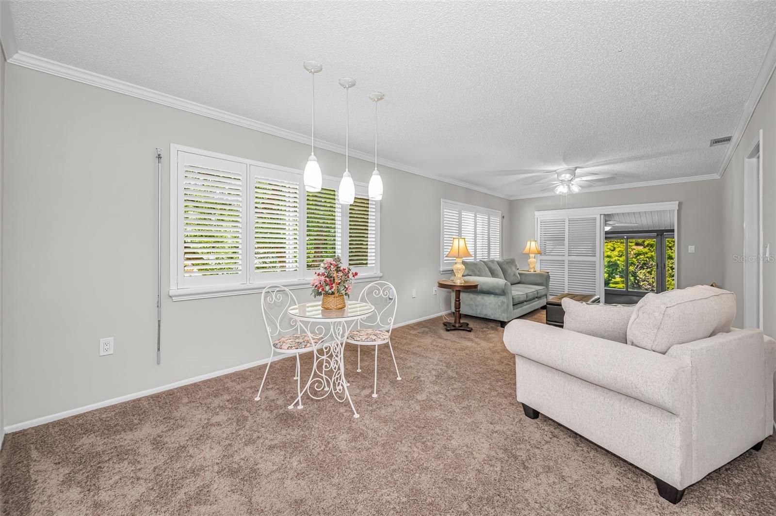 Living Room - Dining Room Combo
