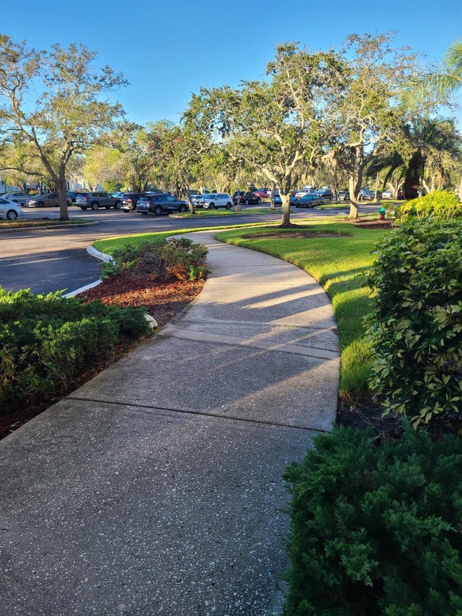 Mature landscaping