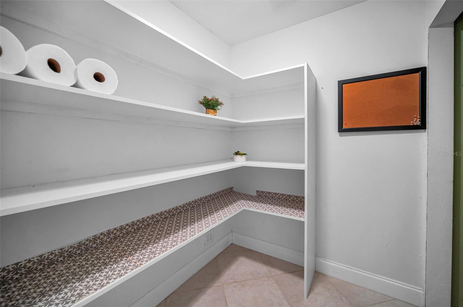 Large  Walk-in Pantry