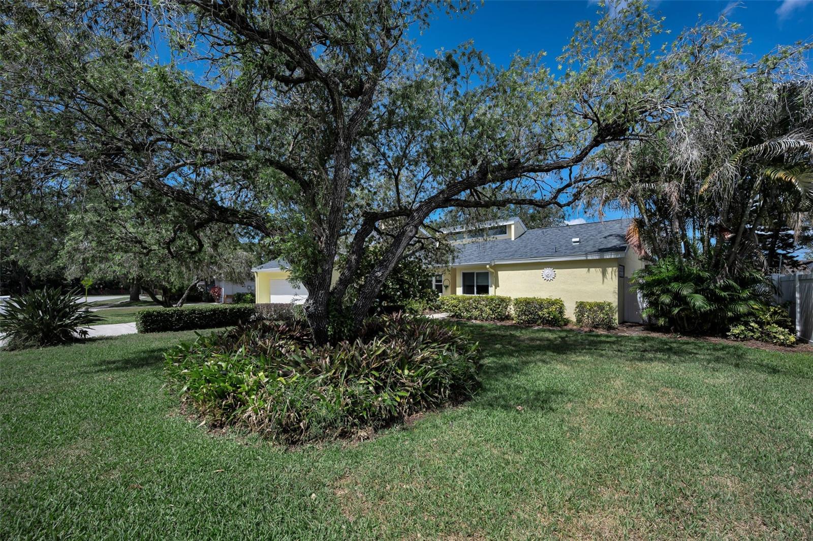 Large Front Yard