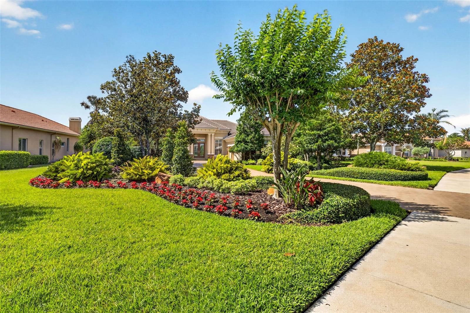 Professional & Mature Landscaping