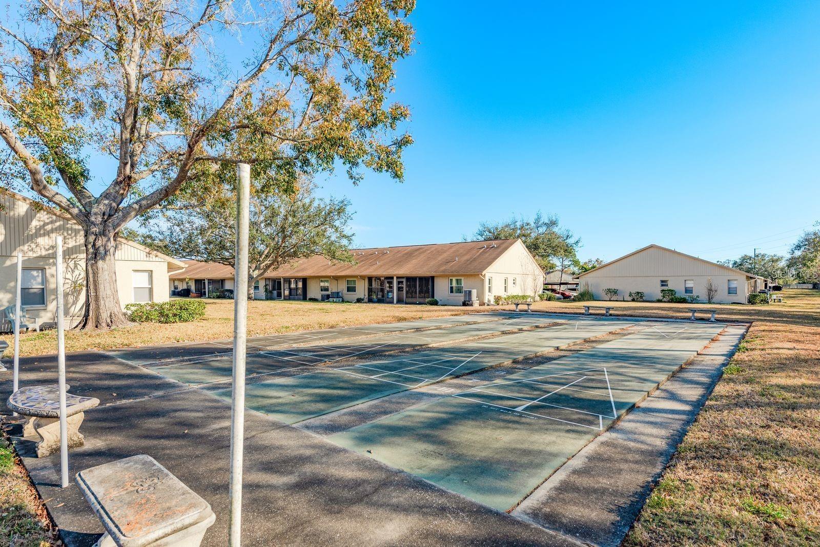 Shuffleboard Court