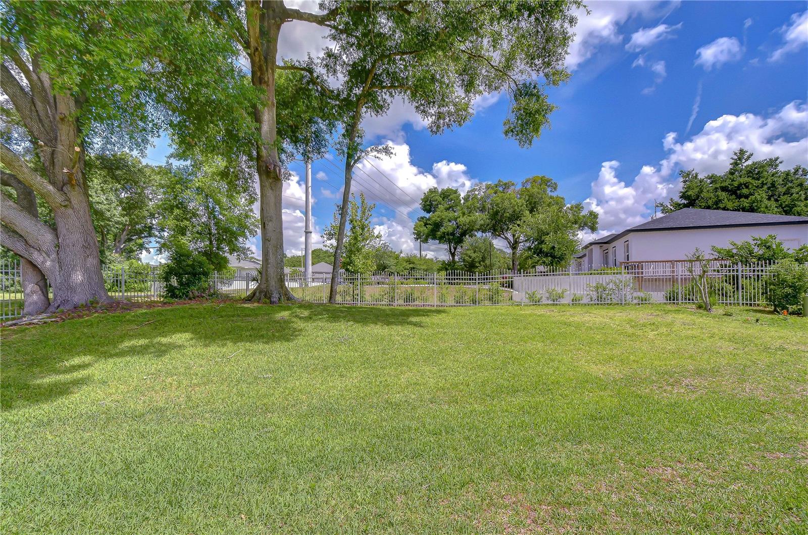 Backyard area
