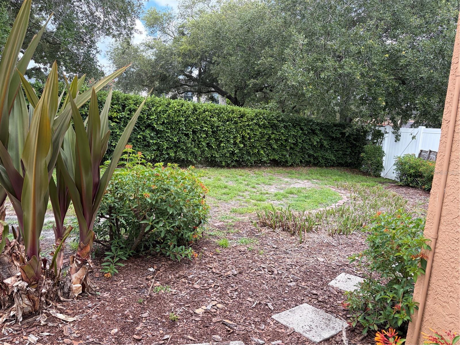 Back yard area