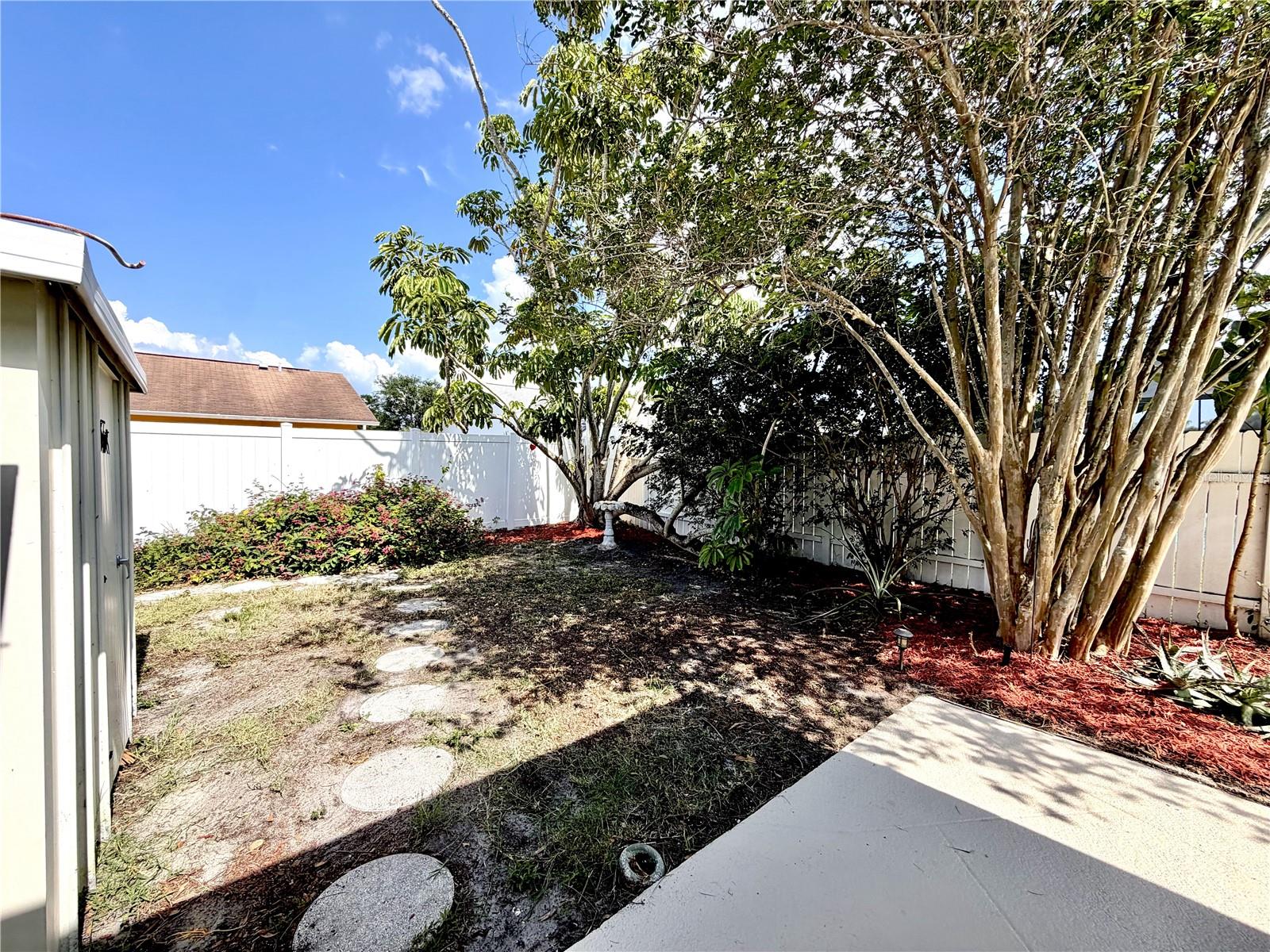 Back Yard