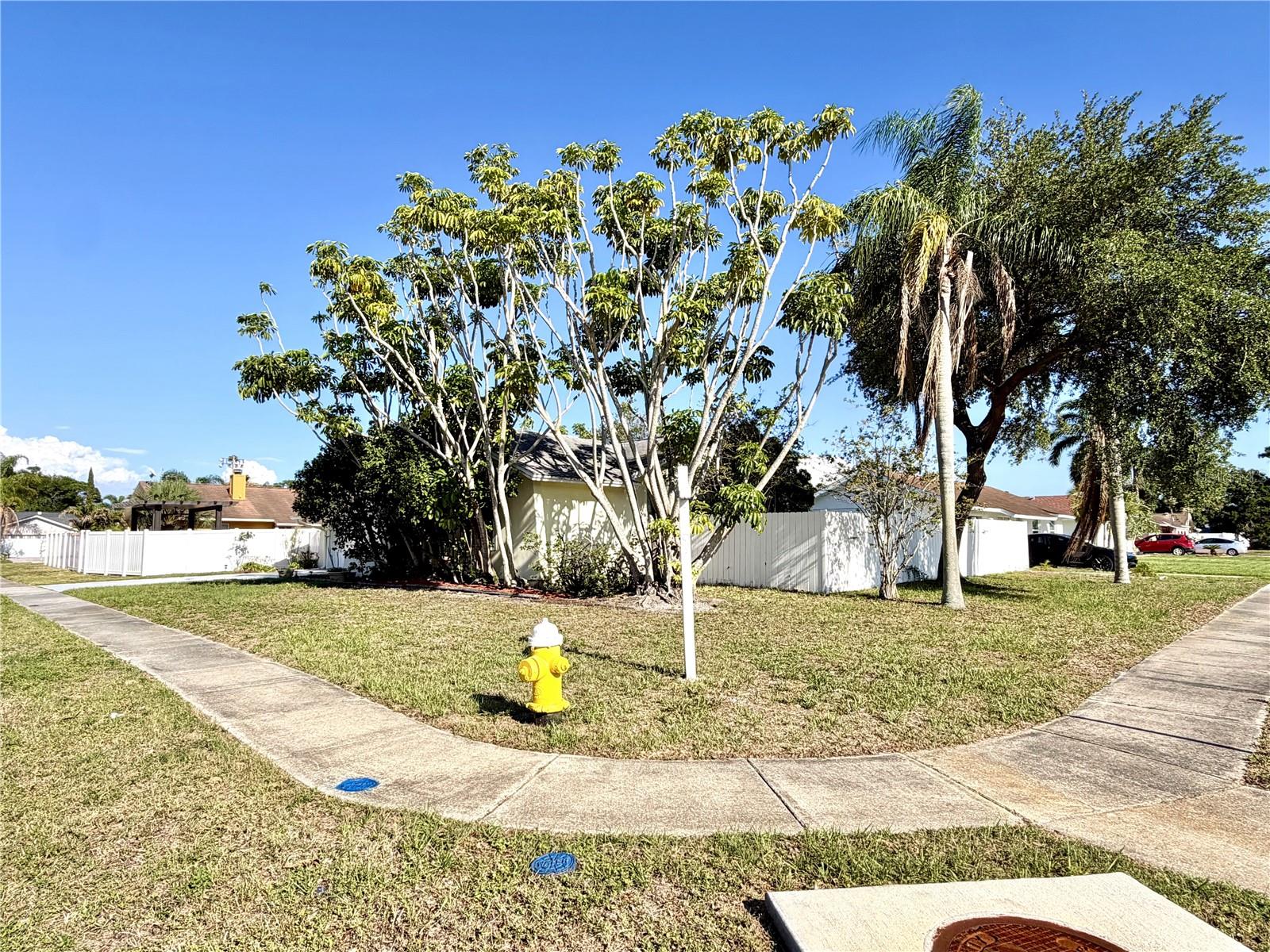 Spacious Corner Lot