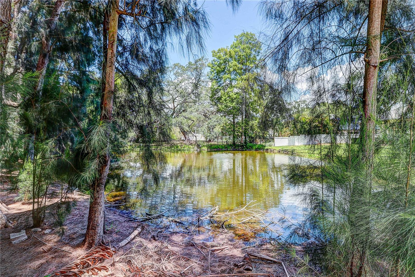 Pond behind house