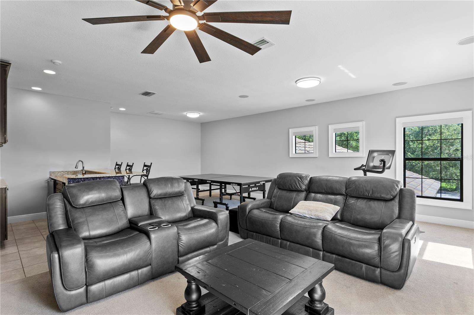 Bonus Room Alternate View
