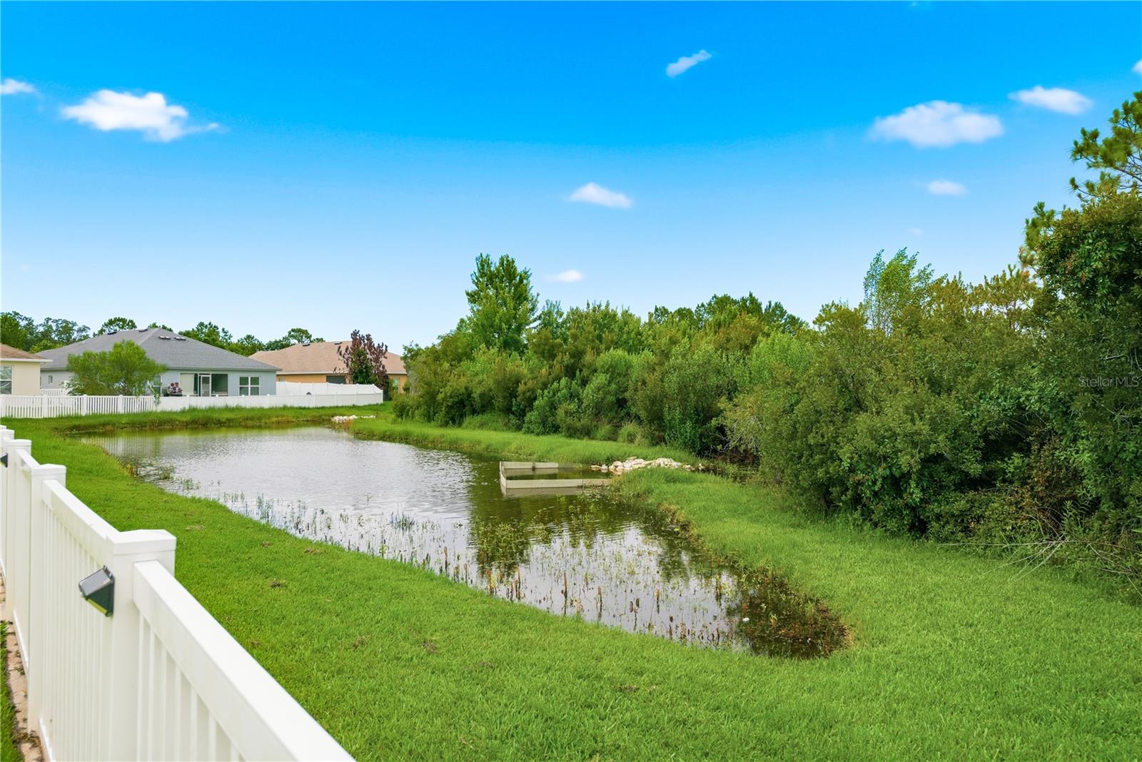 Pond Behind Yard