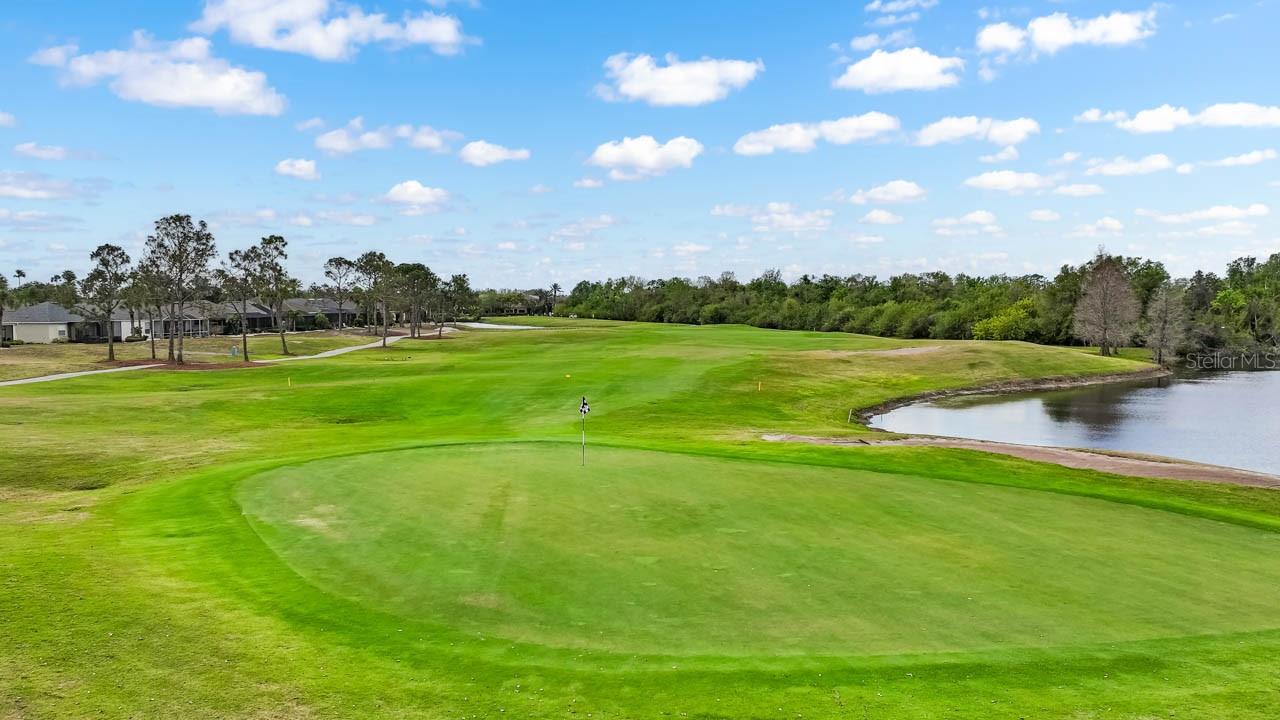 Sun City Center Golf course area