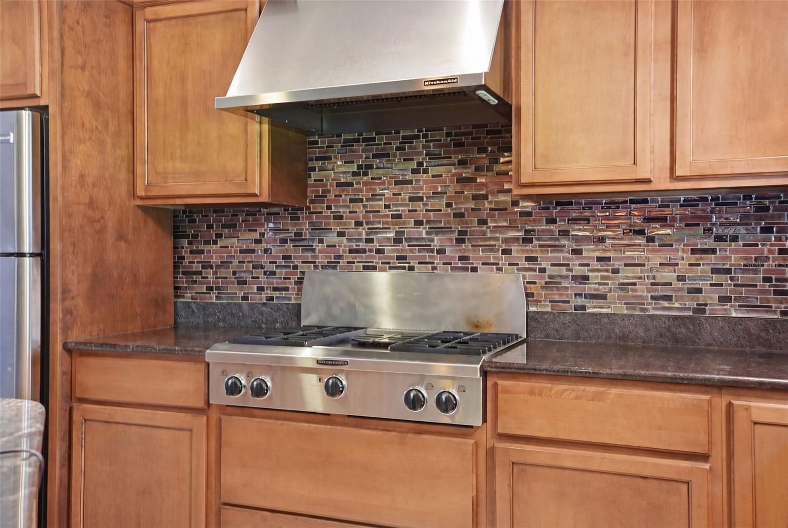 Main Cabin Gas Stovetop and Range Hood