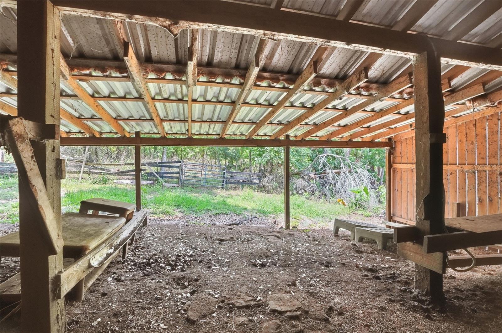 Saloon Cabin Animal Barn