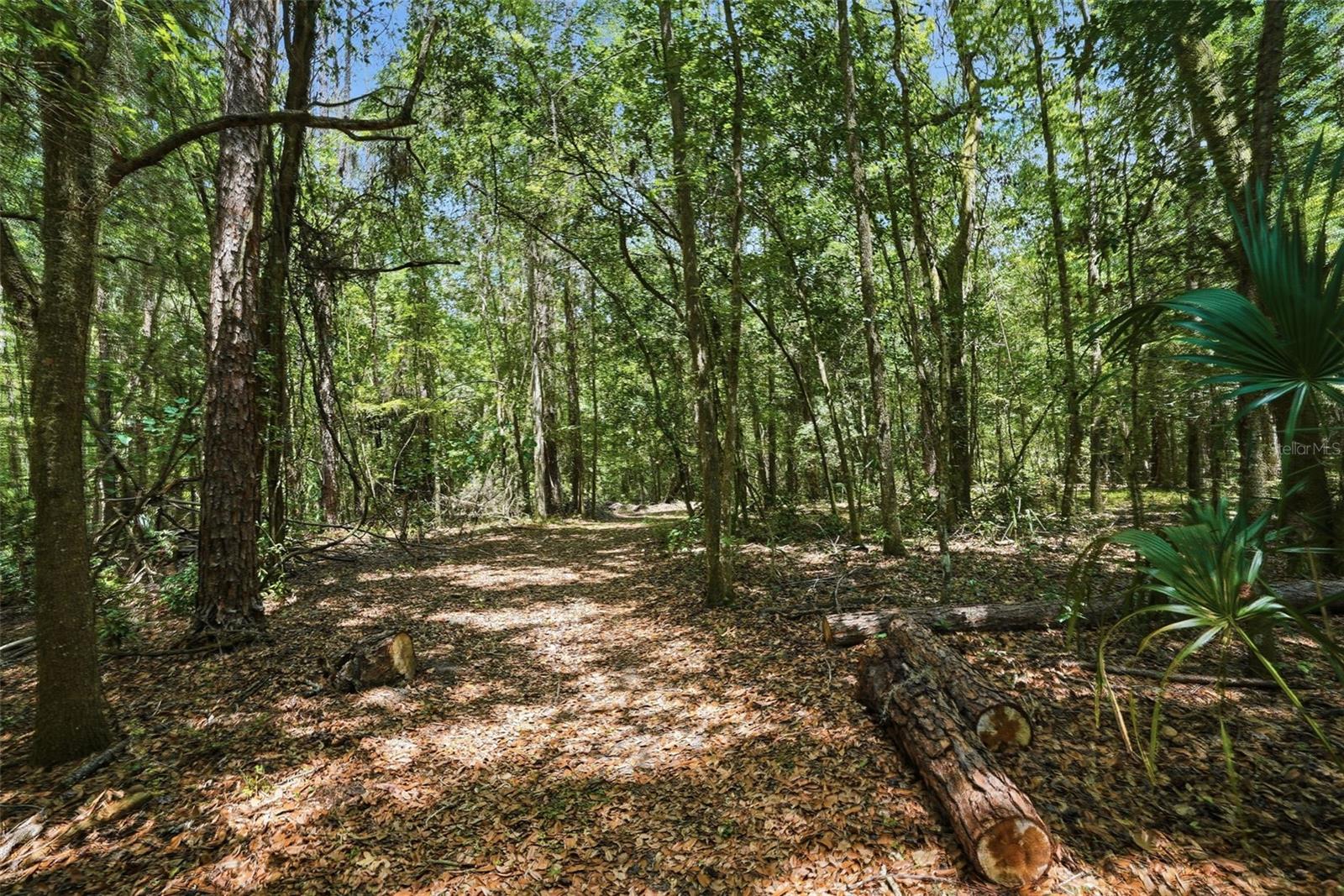 Beautiful 48 acres!
