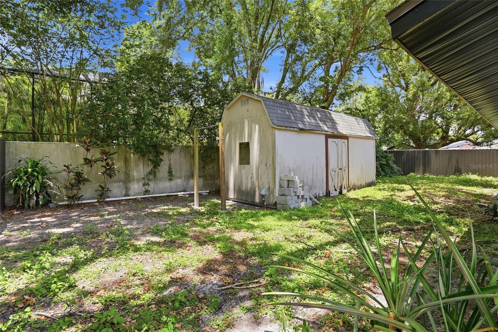Back Yard