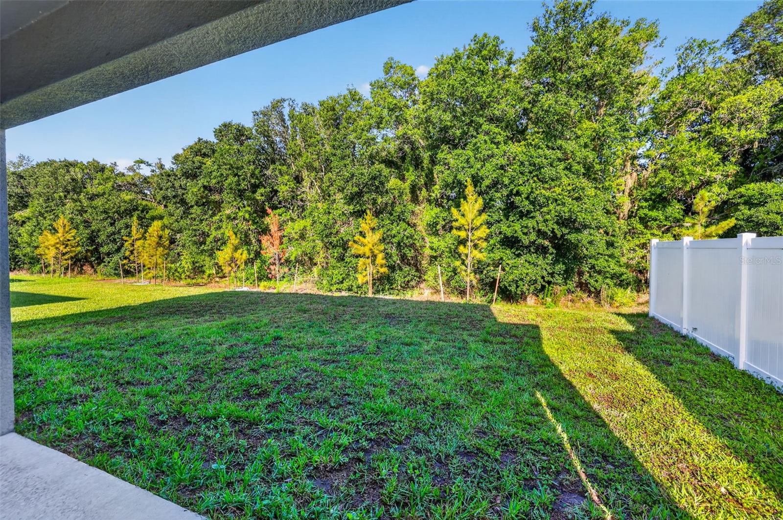Spacious Backyard with Conservation View