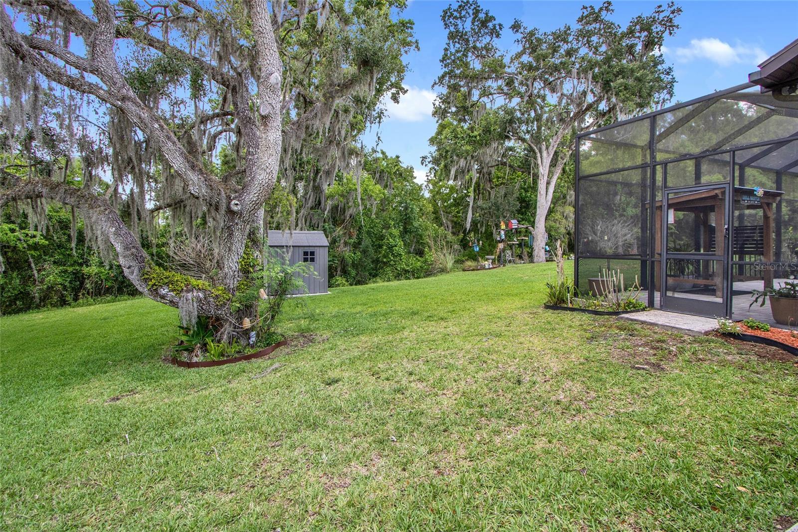 Back Yard