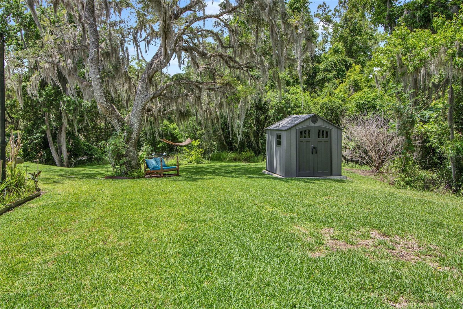 Back Yard