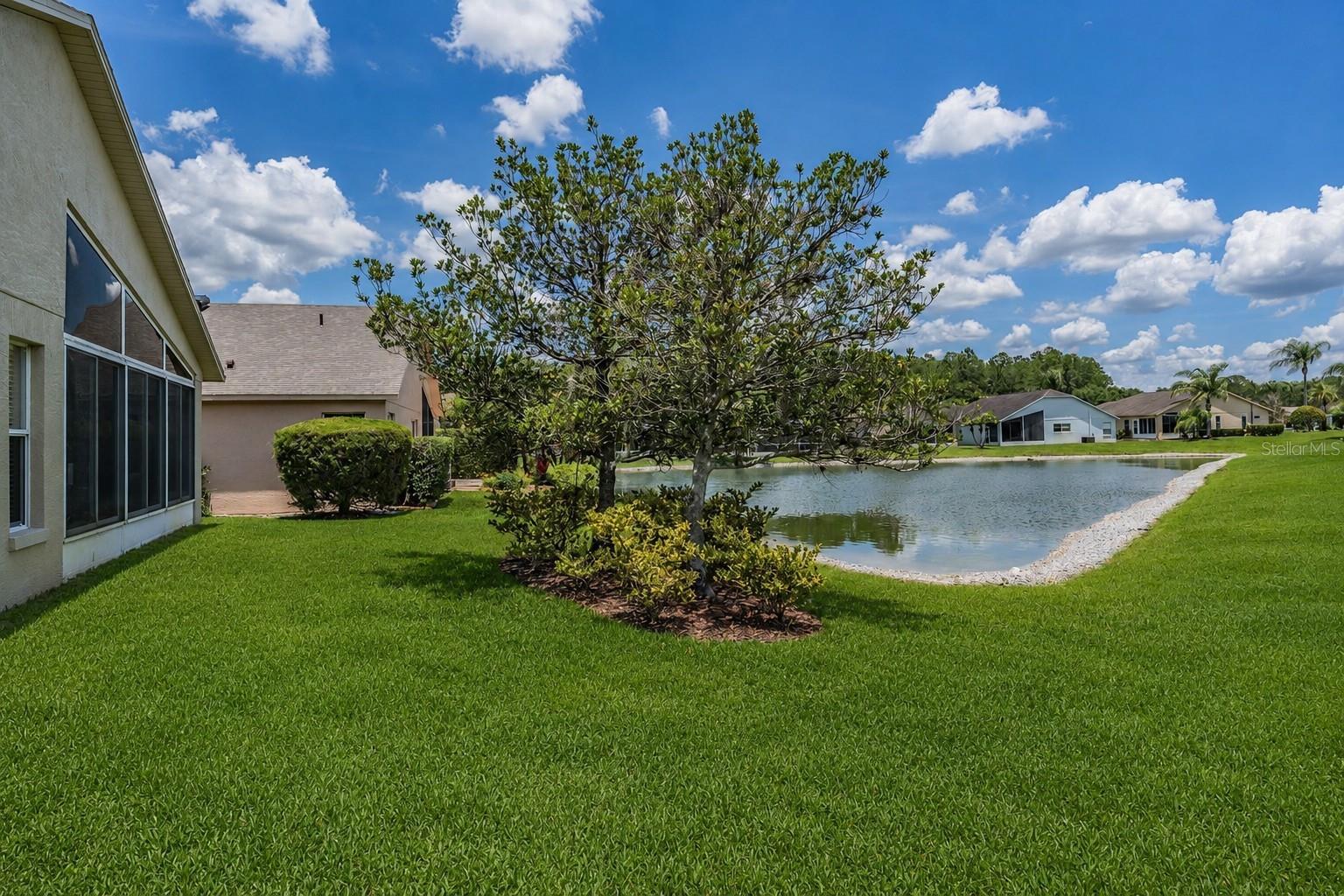 Exterior back (grass is virtually landscaped)