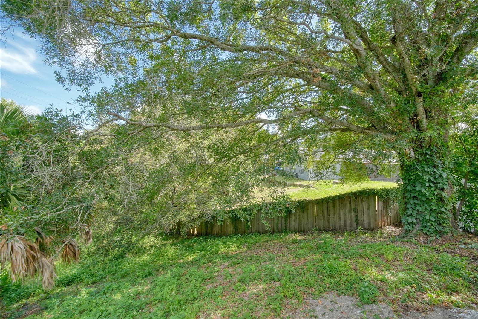 View of the Backyard