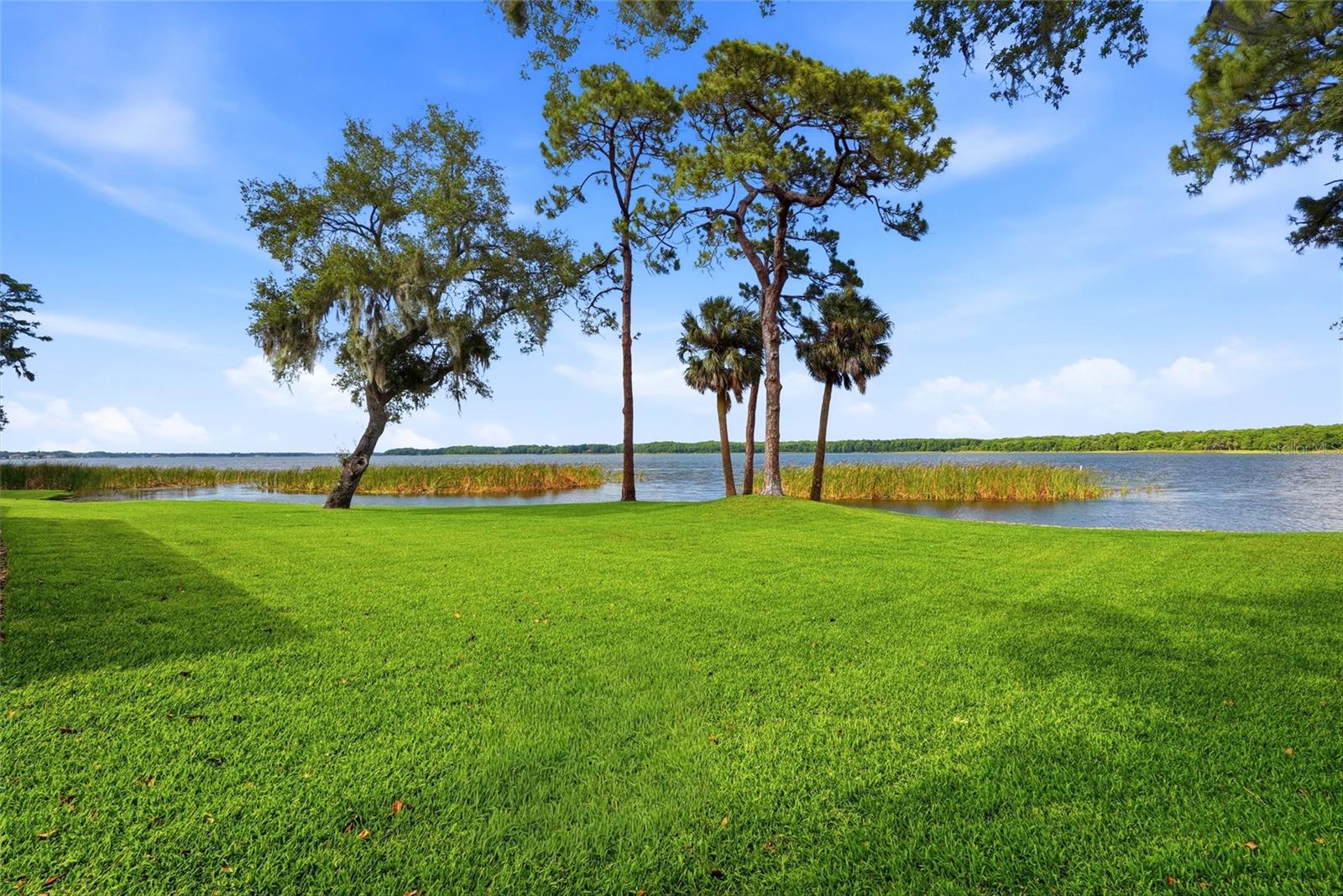 The Jewel of Pinellas, 2,500acre Lake Tarpon is situated inyour back yard. This hometransports you to a state oftotal relaxation with the sereneatmosphere.