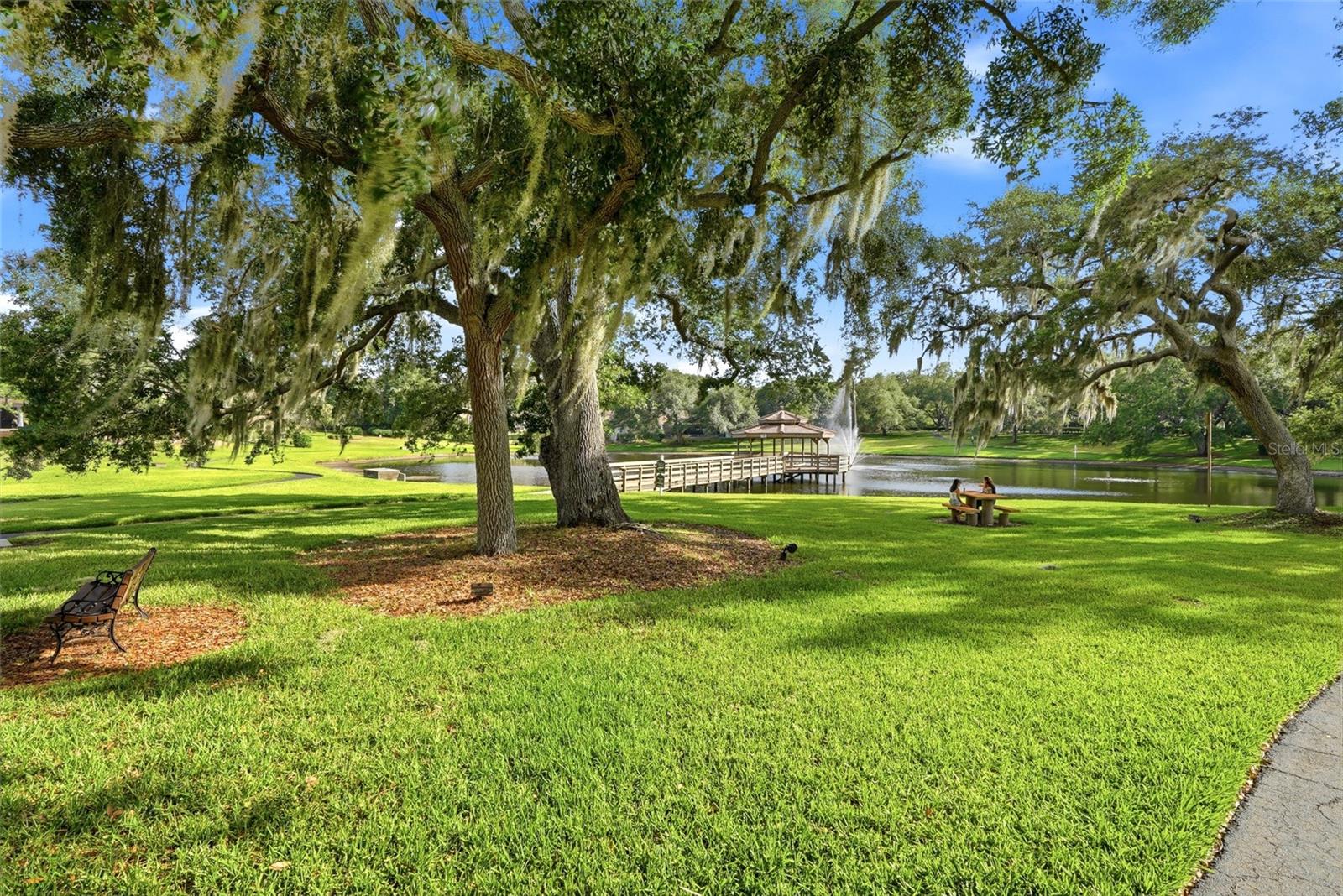 Residents enjoy a private gatedmarina with boat slipsavailable on Lake Tarpon and agated boat ramp, a privategated community pier, a nineacre common area park, awalk-out gazebo overlooking alarge pond with a fountain,paved walking pathsthroughout the common areas,a playground, two gated tenniscourts, and a basketball court.