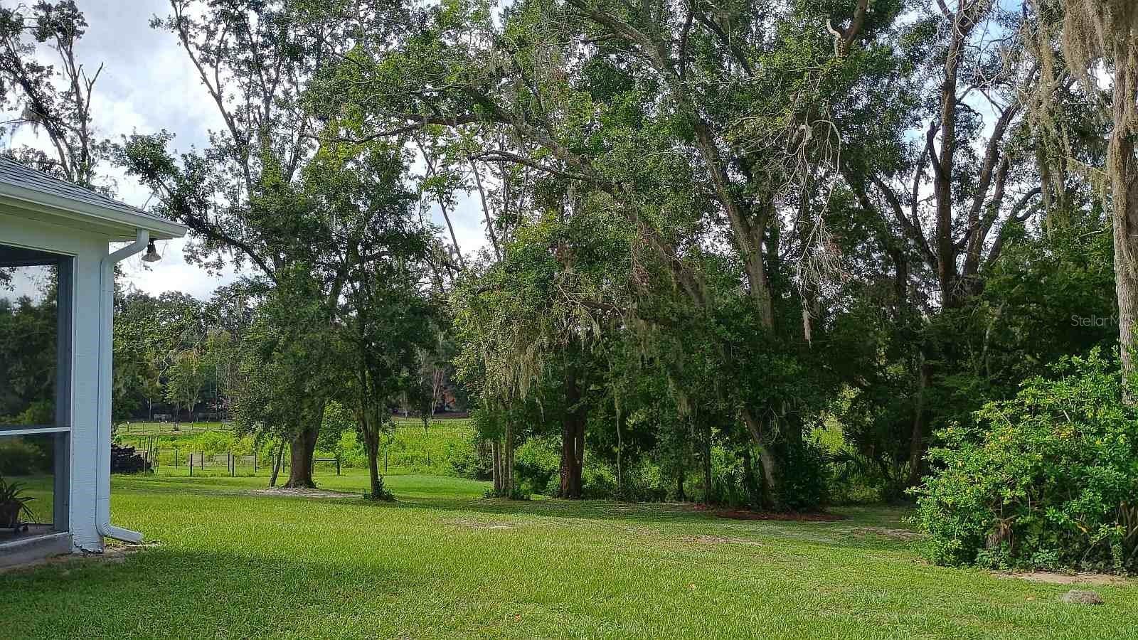TB8511479