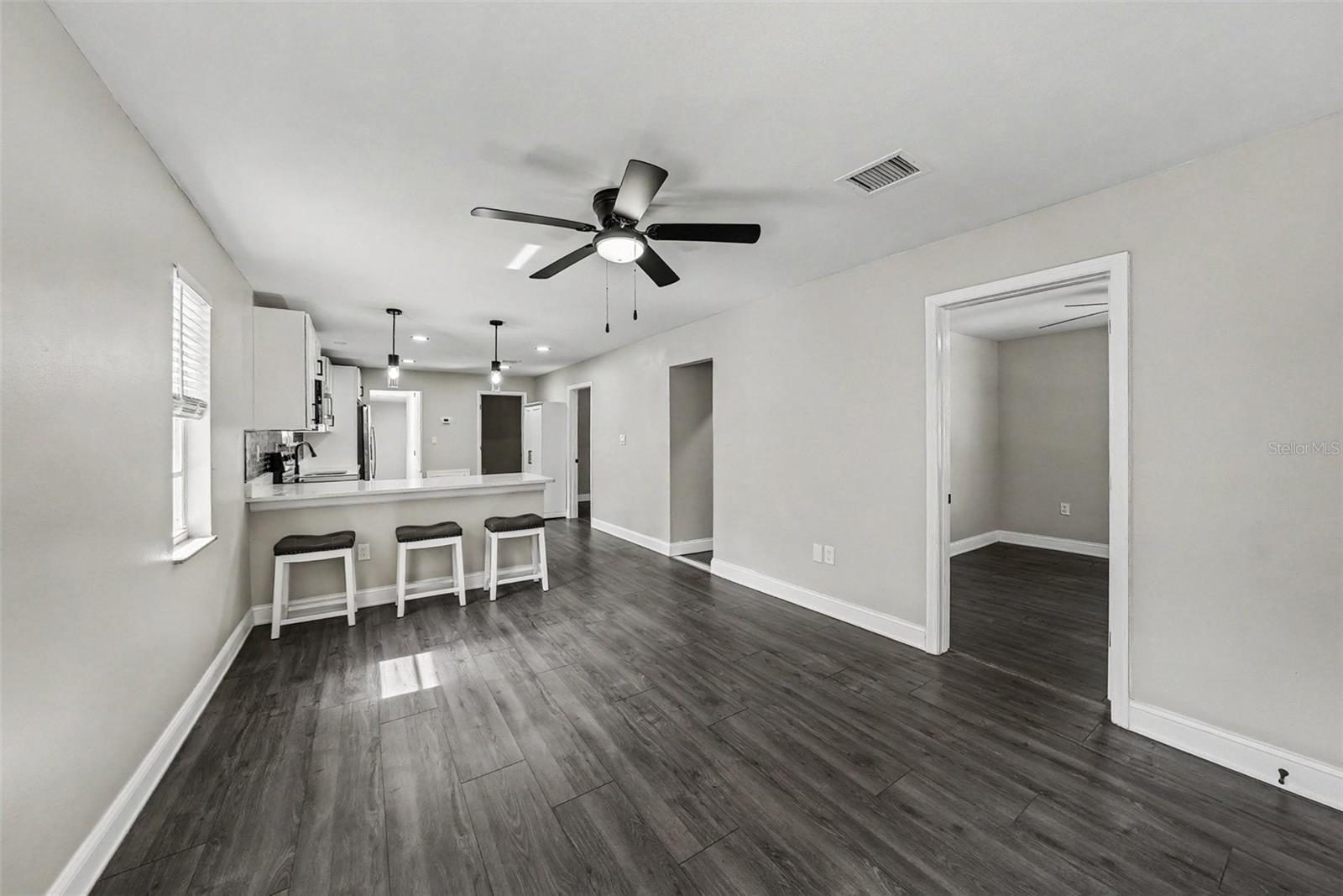 Living room and kitchen