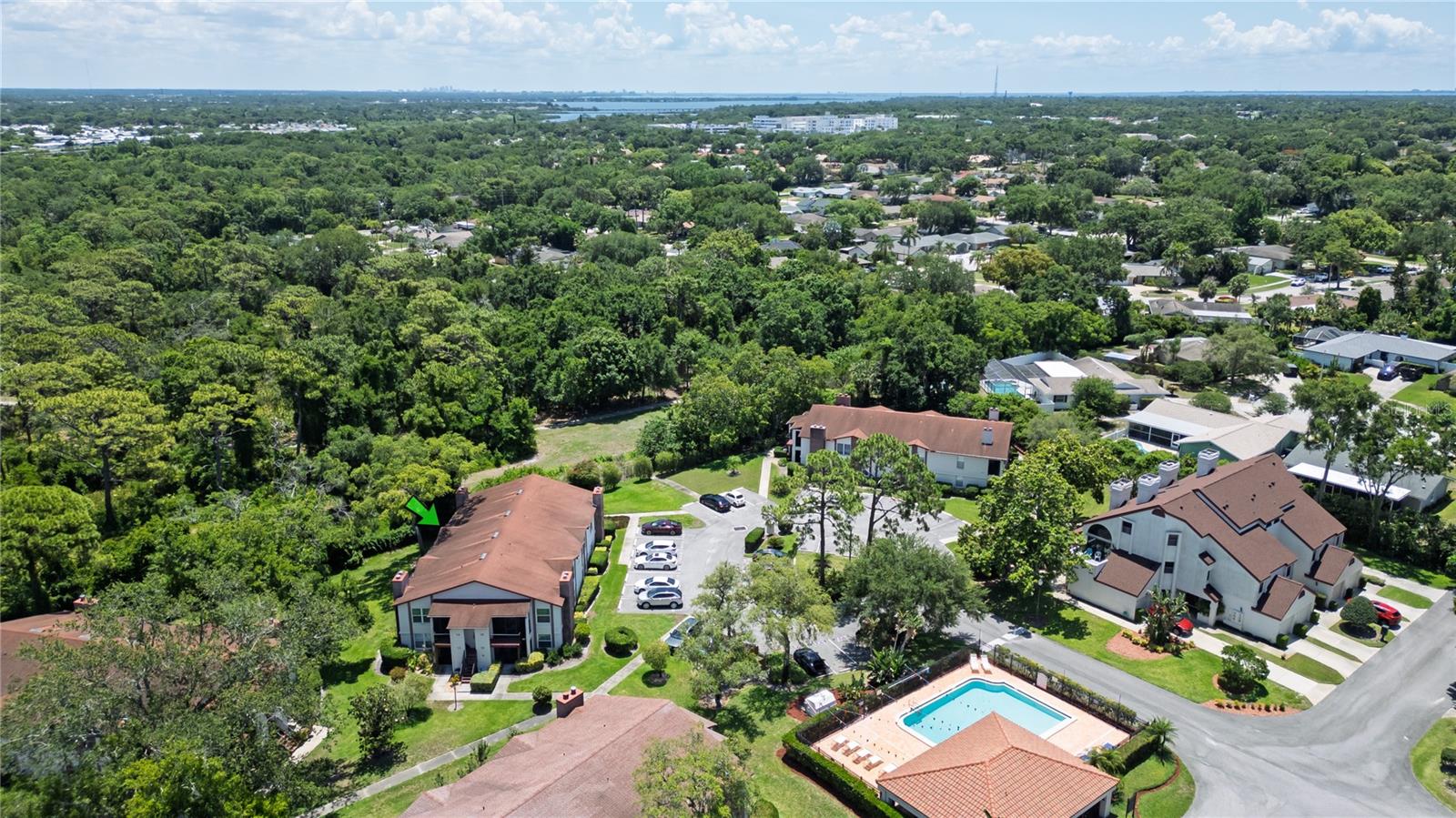 Aerial with view of the Preserve