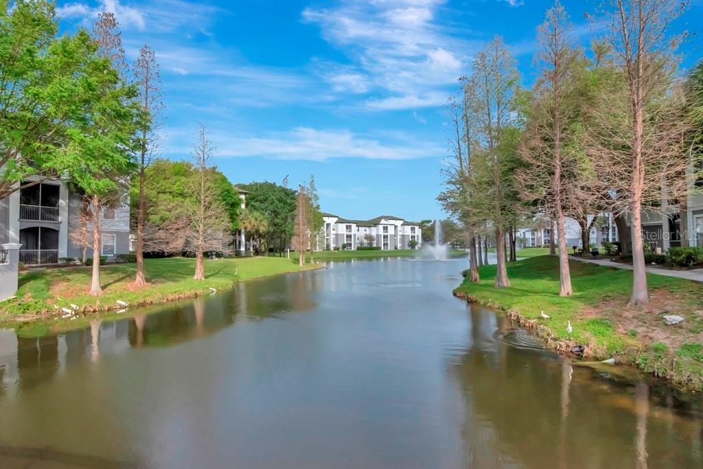 Primary Pool Area behind Clubhouse