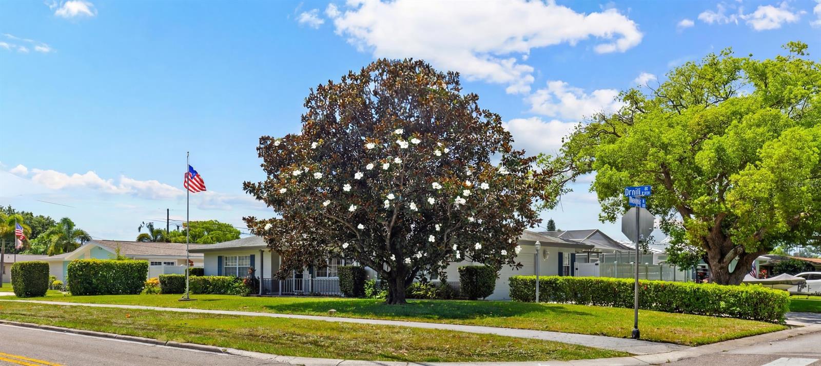 Front yard