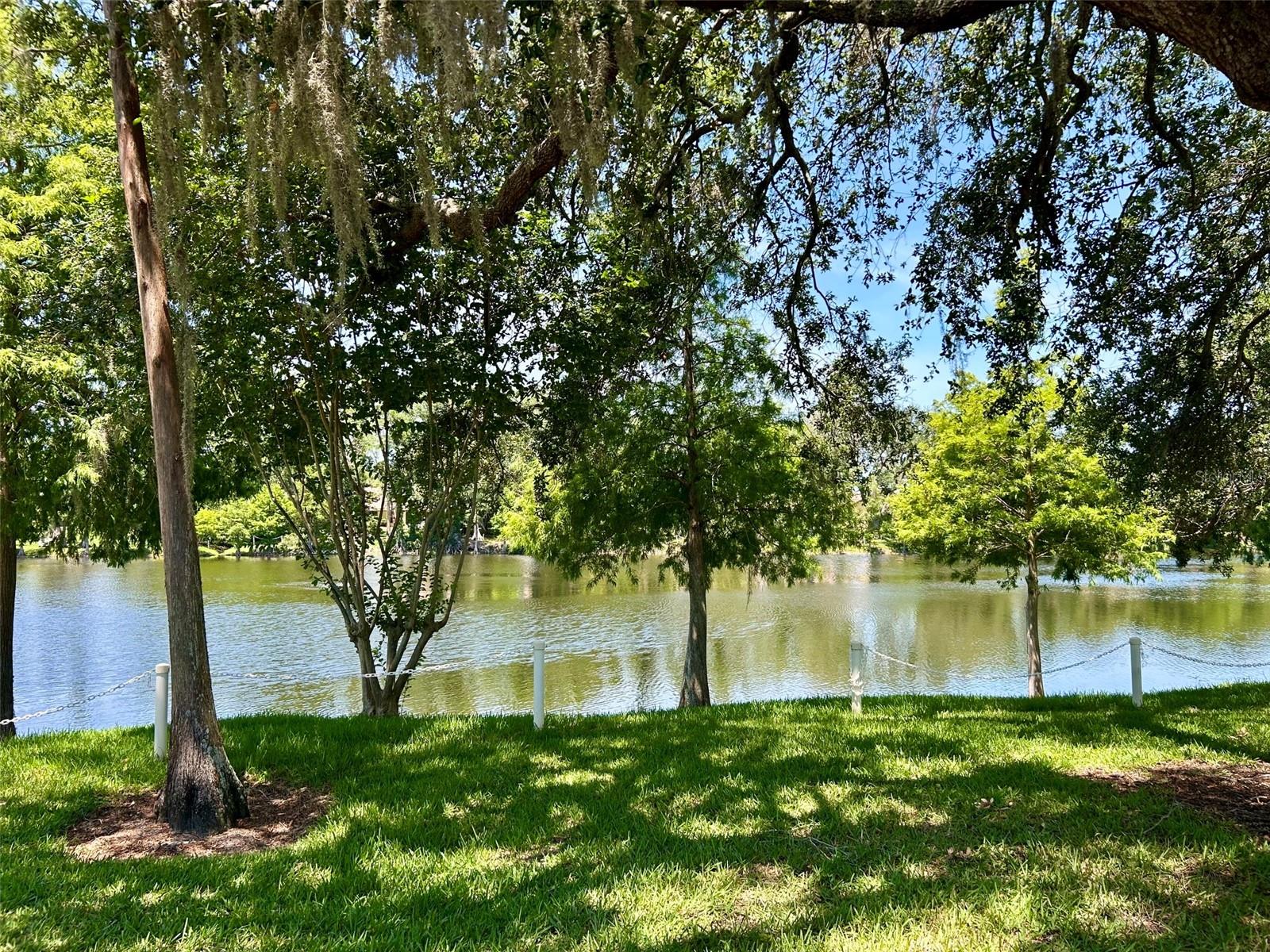 Gorgeous Lake Views