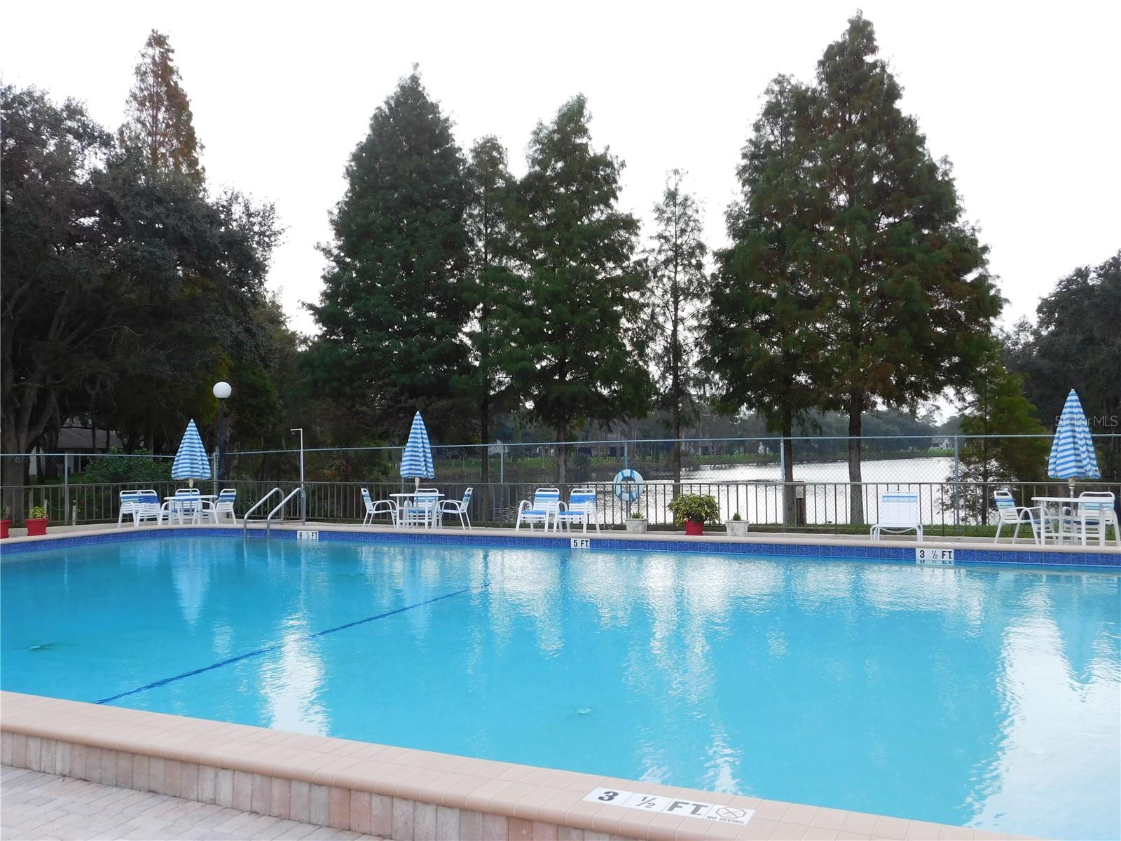 Clubhouse Solar Pool With Lake Views