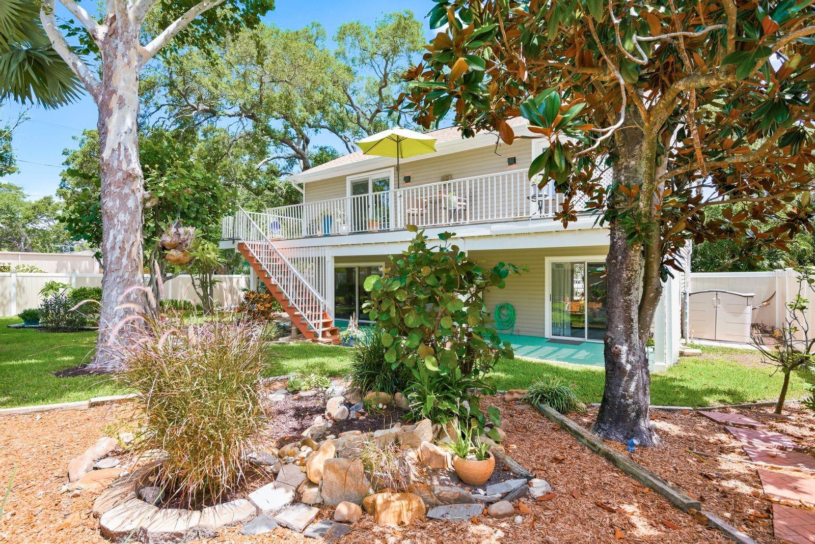 Garden with sycamore, florida wysteria, red maple, Palm tree, sea grape, hibiscus, frangipani & magnolia tree.