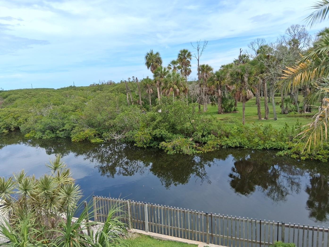 How would you like this for a view?