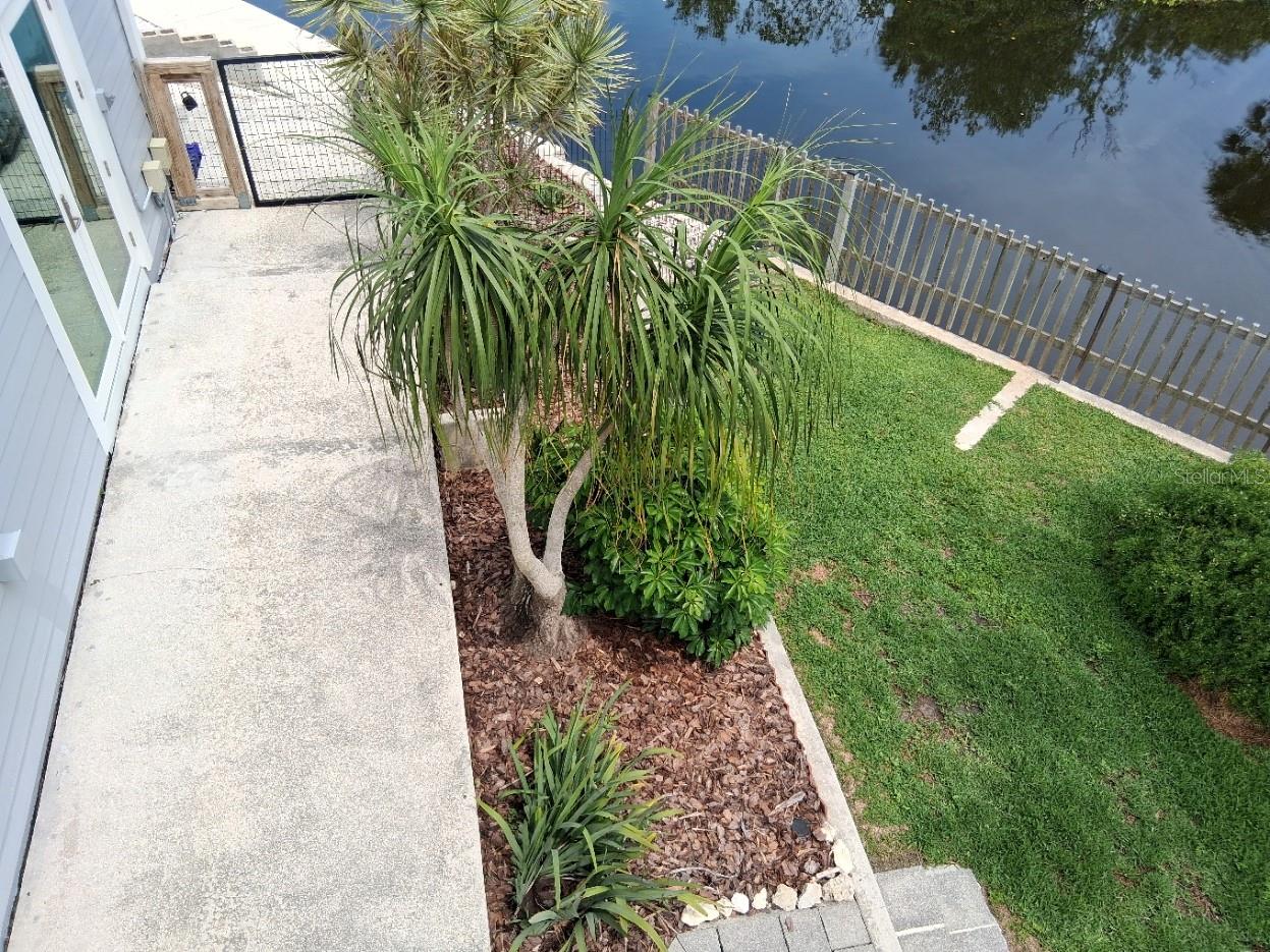 View of beautiful tropical yard from deck