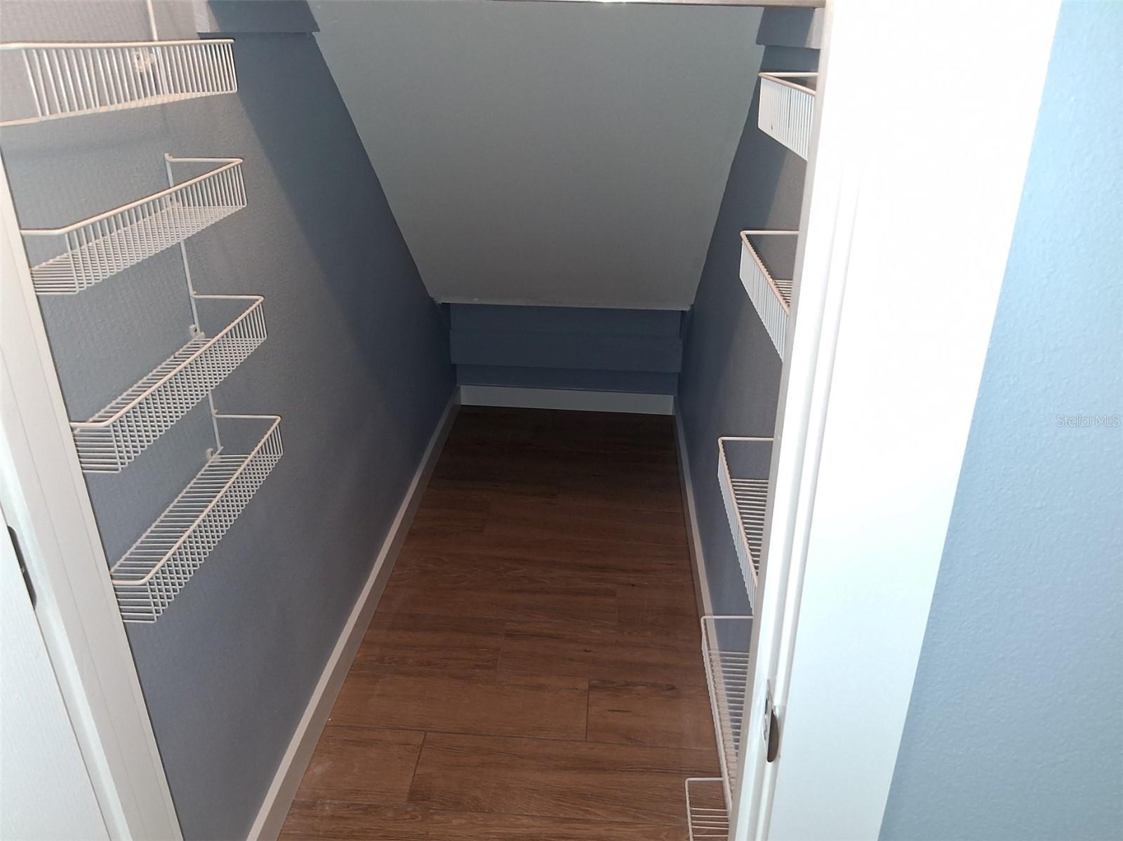 Lots of lighted storage under the stairs!