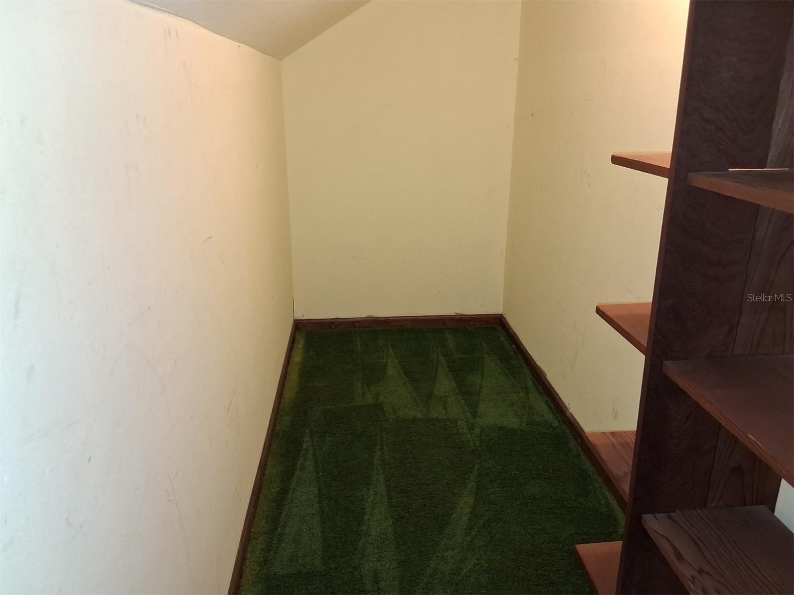 Space at end of 21'x 3.5' closet!