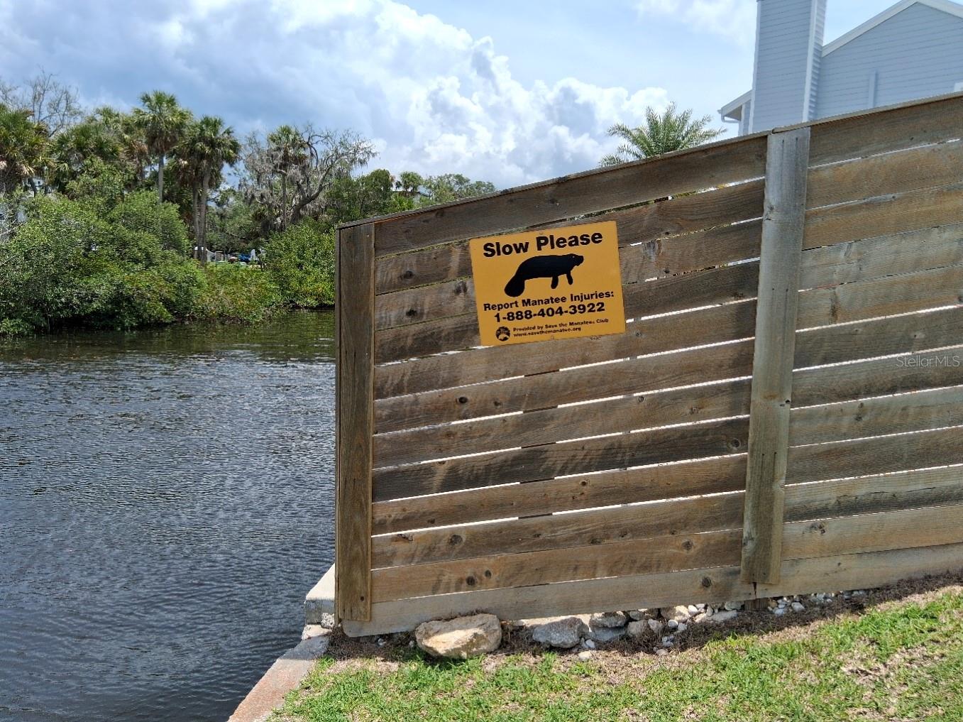 Watch out for manatees!