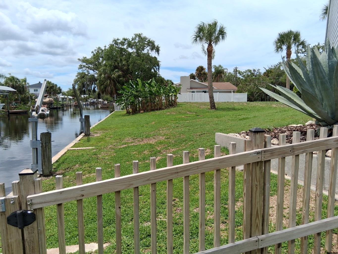 View of right side and adjacent lot from back yard