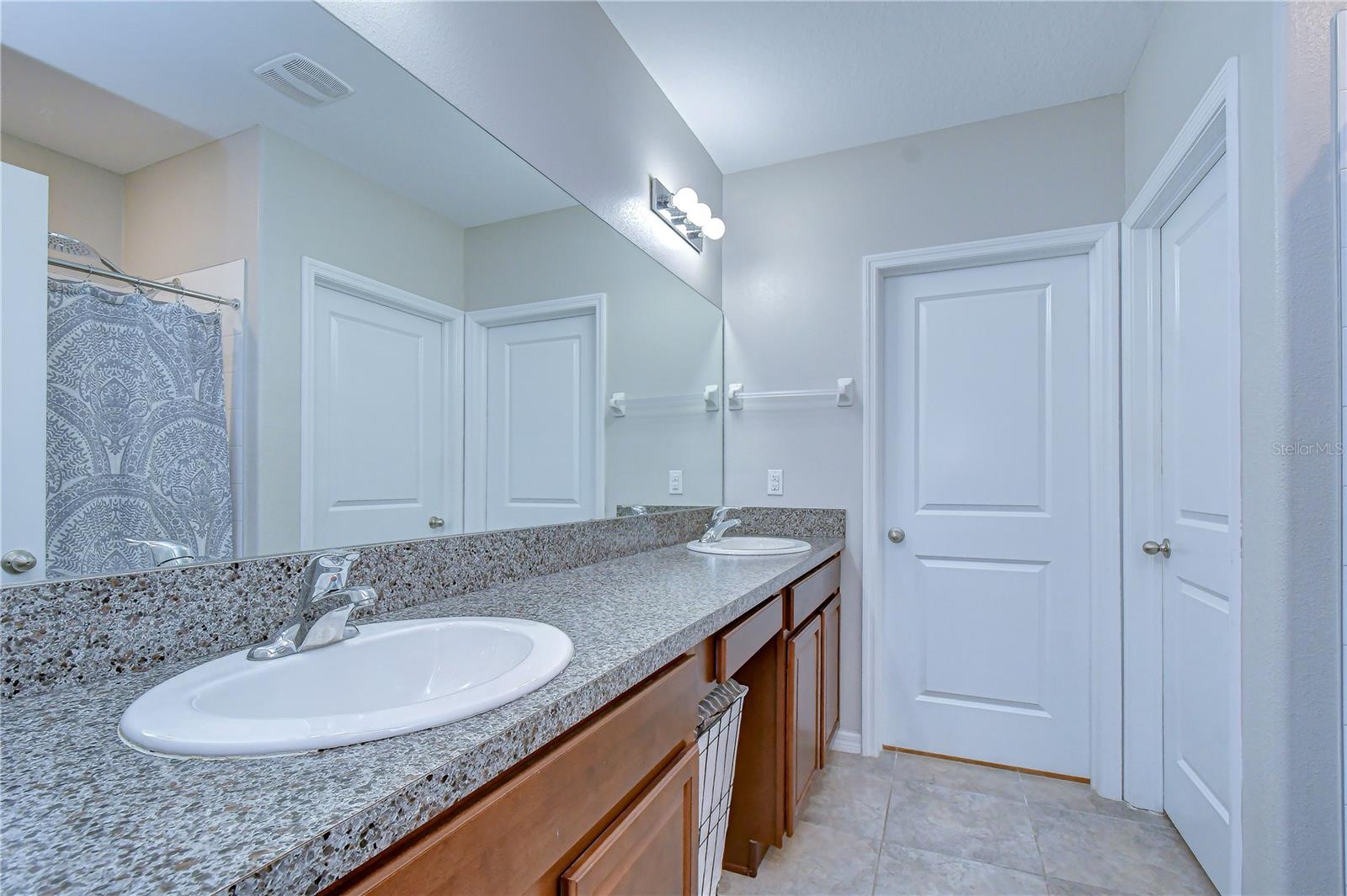 Primary en-suite bathroom (with water closet and huge walk-in closet)