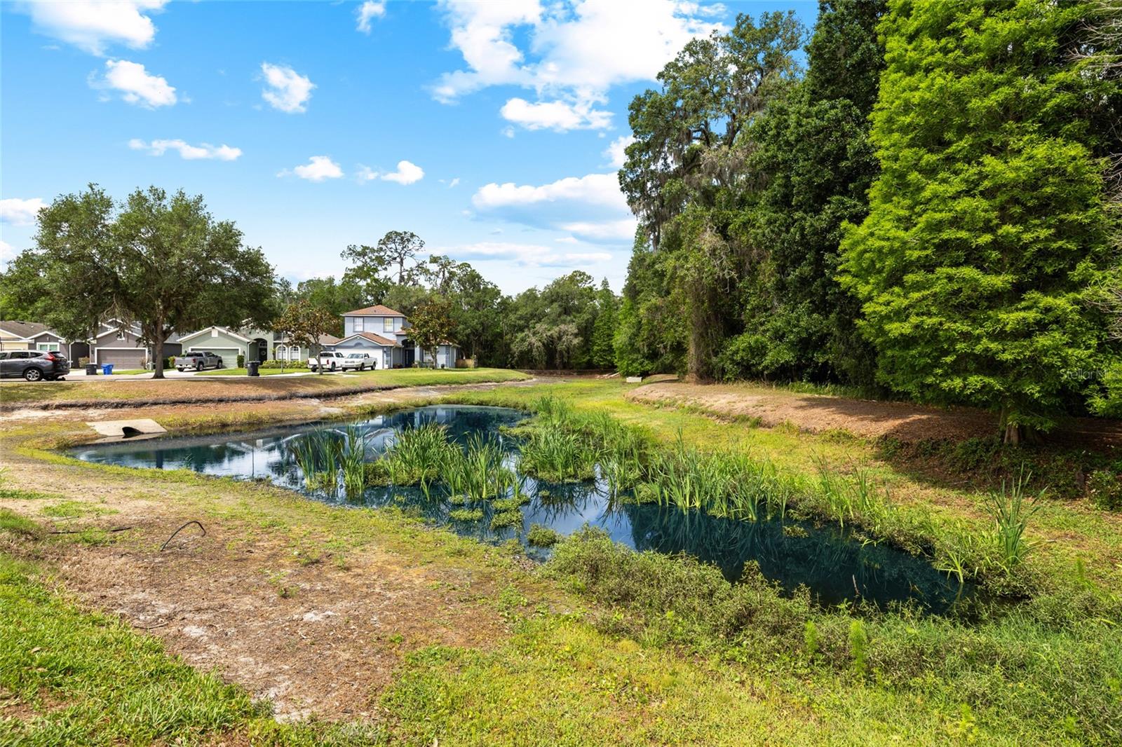 Huge Backyard on Pond and Conservation