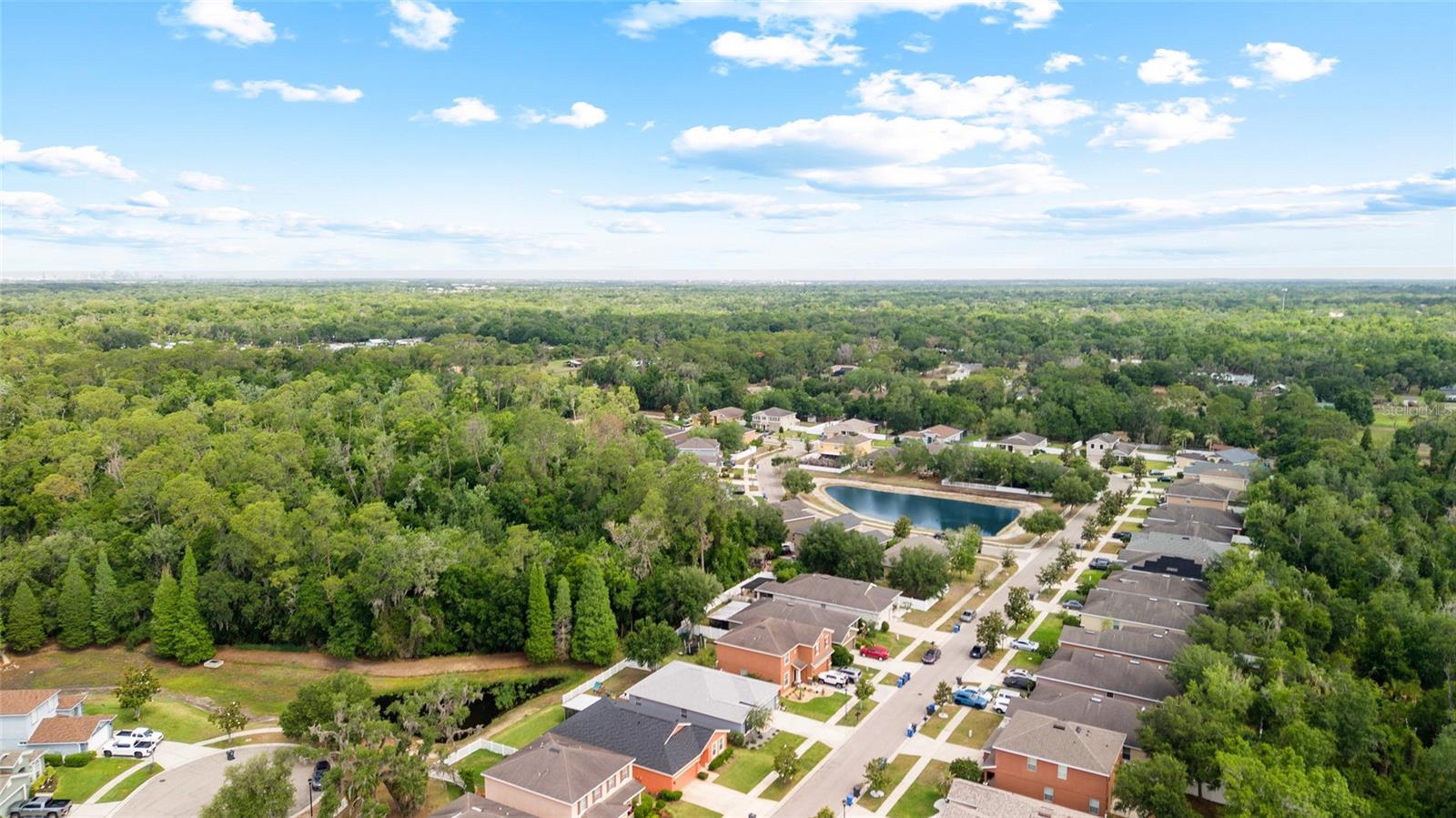 Homesite on Pond + Conservation