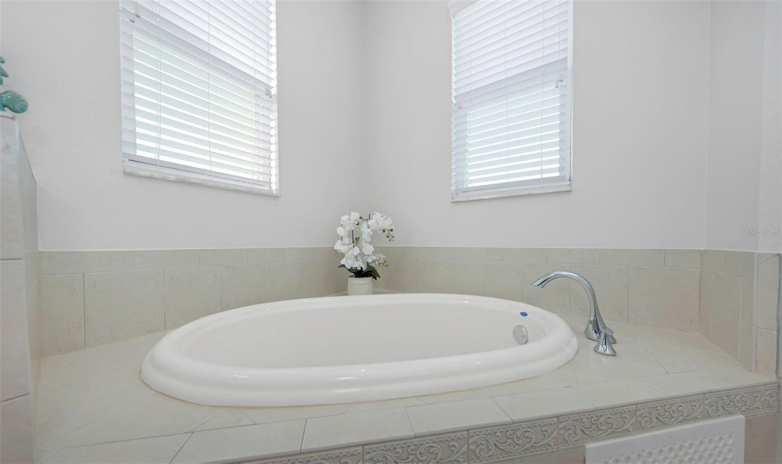Jacuzzi tub