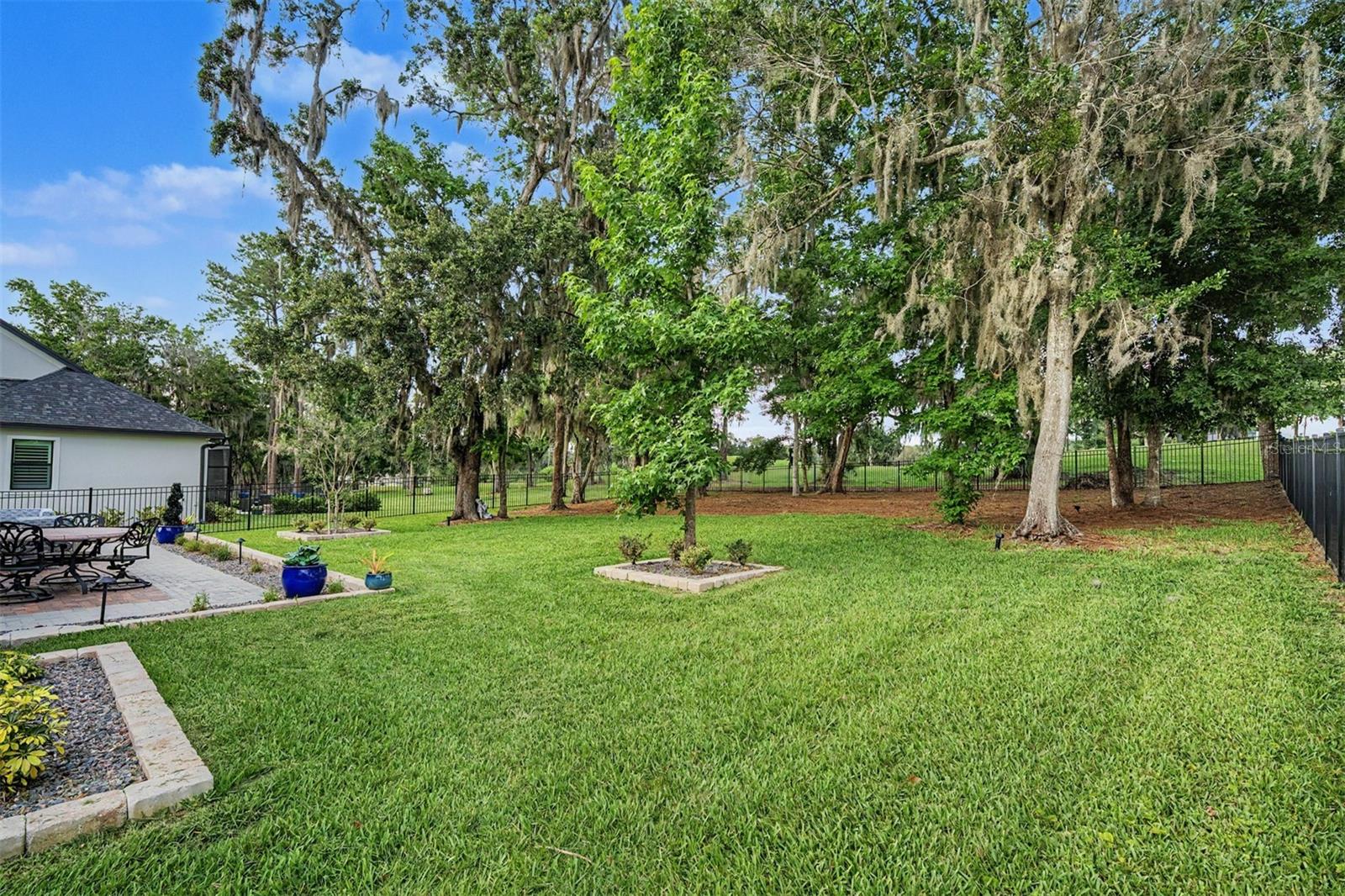 Backyard OASIS!