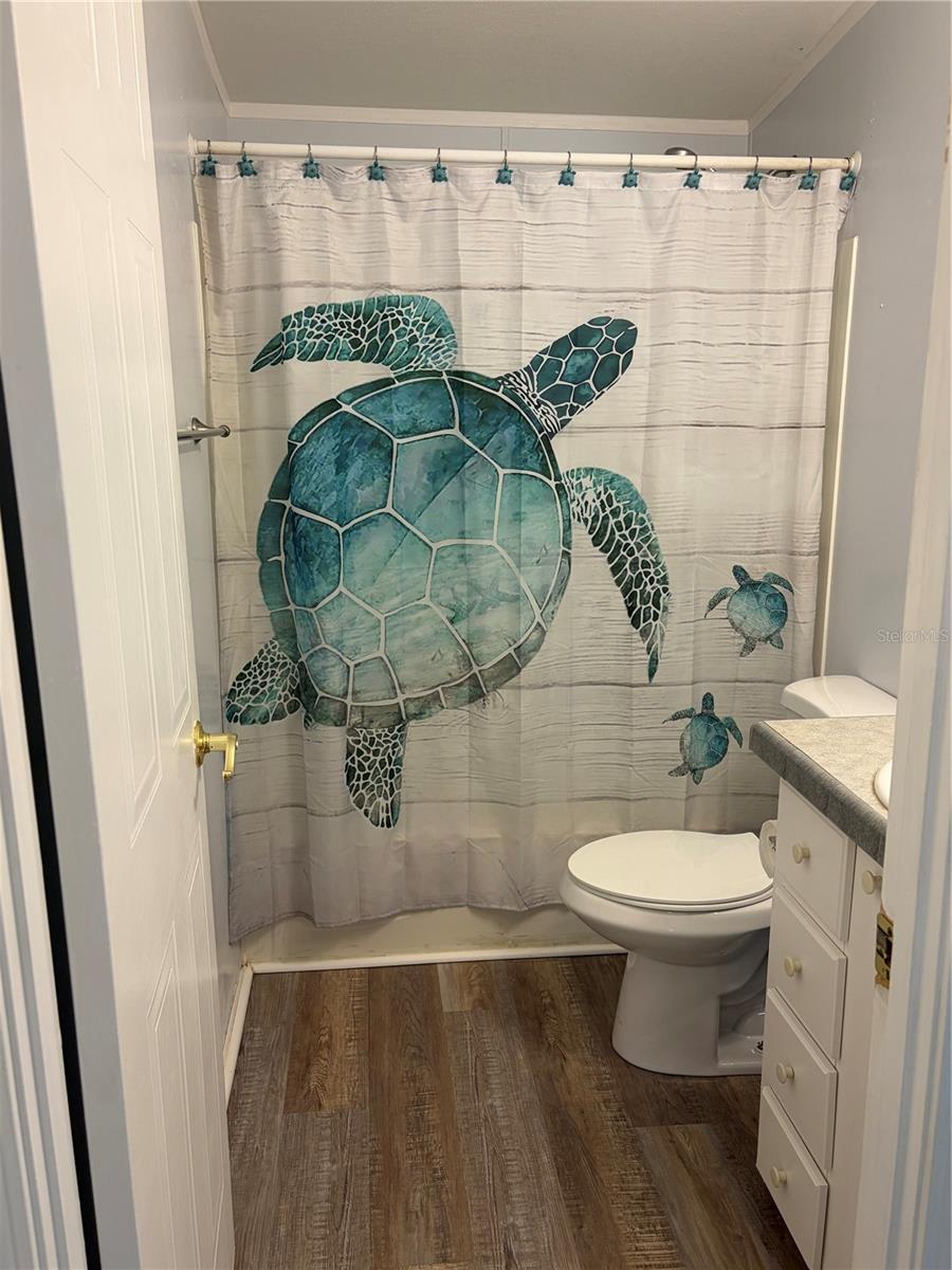 Guest bath