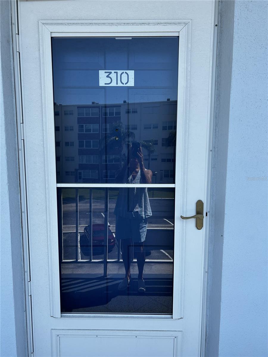Front door with screen